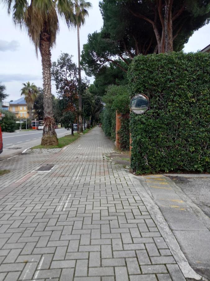 Bilocale Climatizzato A 850M Dalla Spiaggia Casa Katia Marina di Massa Exteriör bild